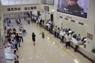 焦作车管所爆料事件最新,内幕曝光，真相背后引关注